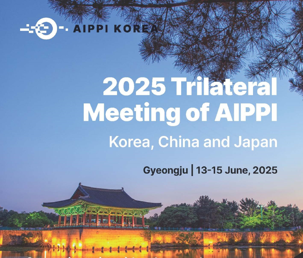 2025 Trilateral Meeting of AIPPI